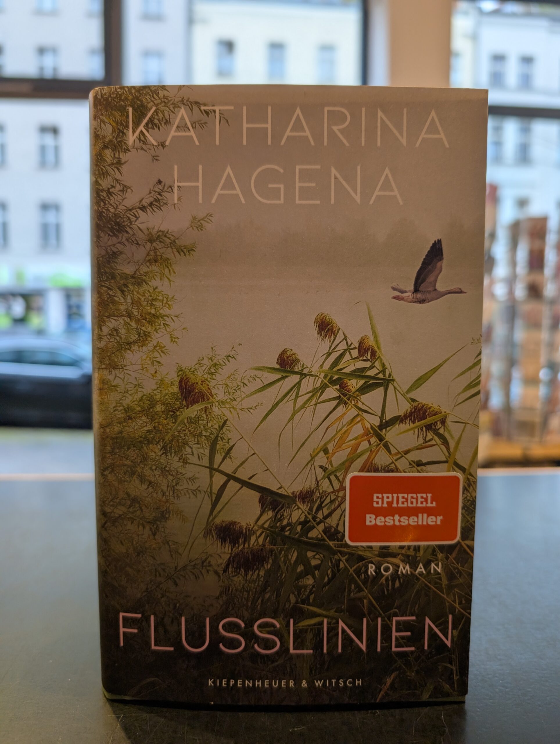 Flusslinien